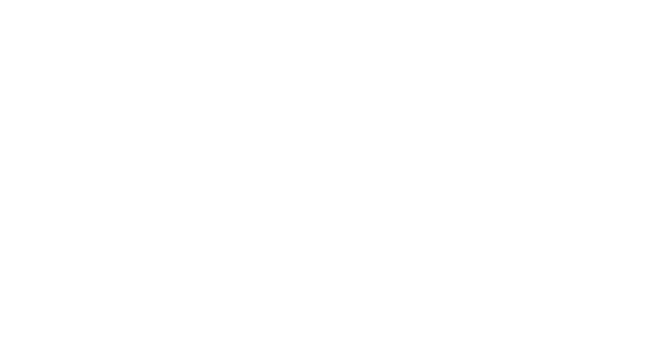 Logo Irist
